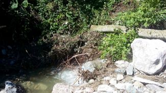 14.07.2017 Forstunfall FF02 14.07.2017 Forstunfall FF02